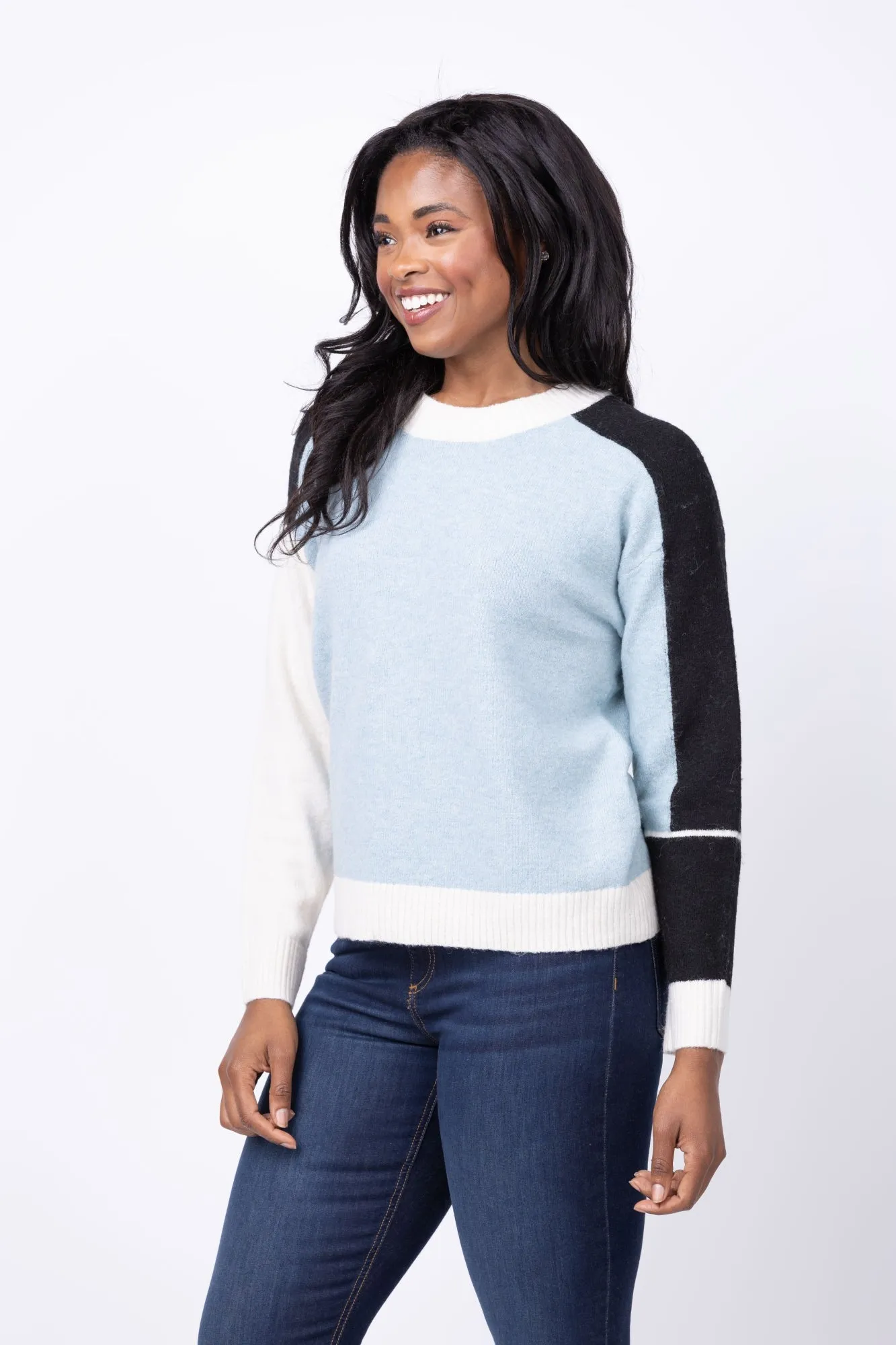 Central Park West Billie Blocked Crewneck Sweater in Blue Multi